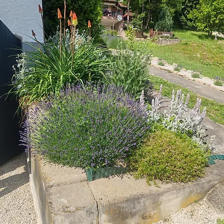 Apartmán Meszi Vendeghaz