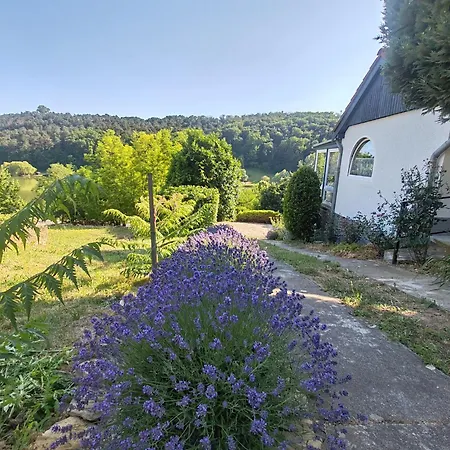 Meszi Vendeghaz アパート *