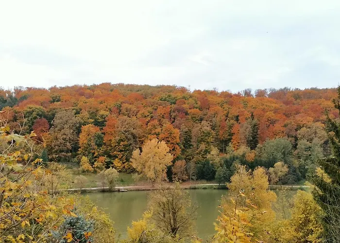 Apartment Meszi Vendeghaz *