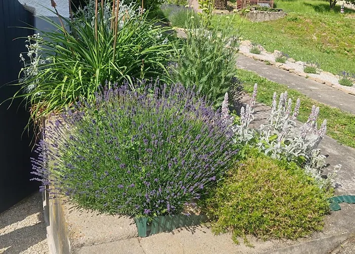 Apartment Meszi Vendeghaz