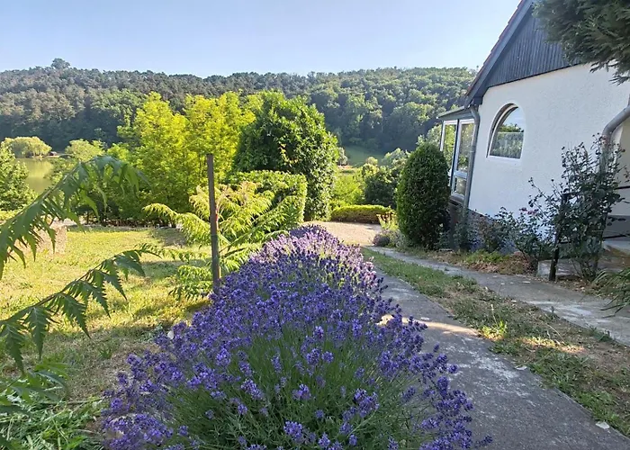 Meszi Vendeghaz Apartment *